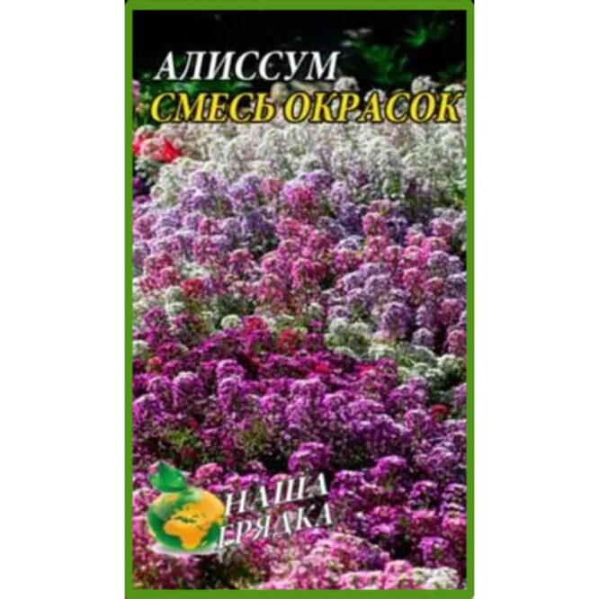 купити-Аліссум-Суміш-забарвлень-щира-нива