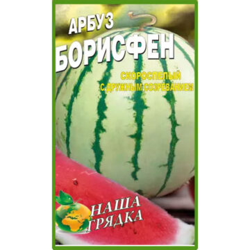 Арбуз Борисфен пакет 40 семян