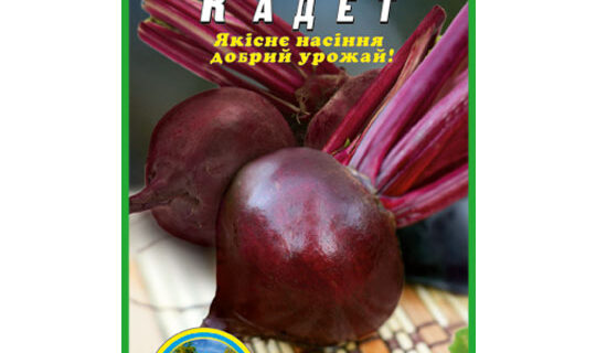 Свекла Кадет пакет 10 грамм