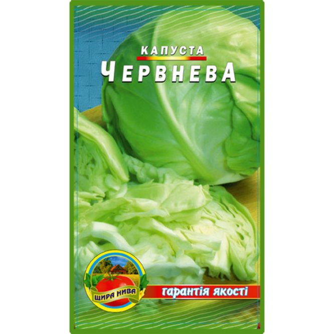 білоголова-червнева-капуста-білоголова