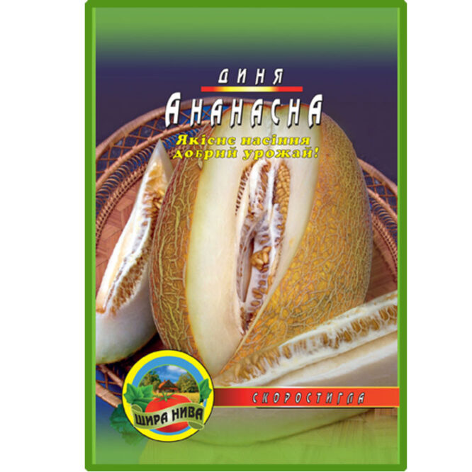 купити-диня-ананасна-нива