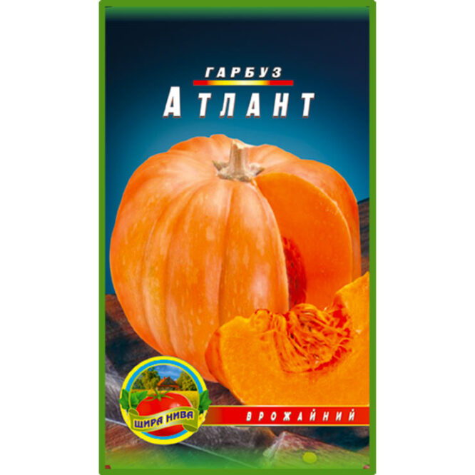 купити-гарбуз-атлант-щира-нива