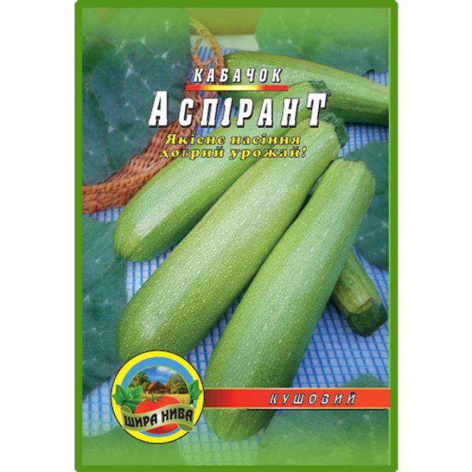 купити-кабачок-аспірант-щира-нива