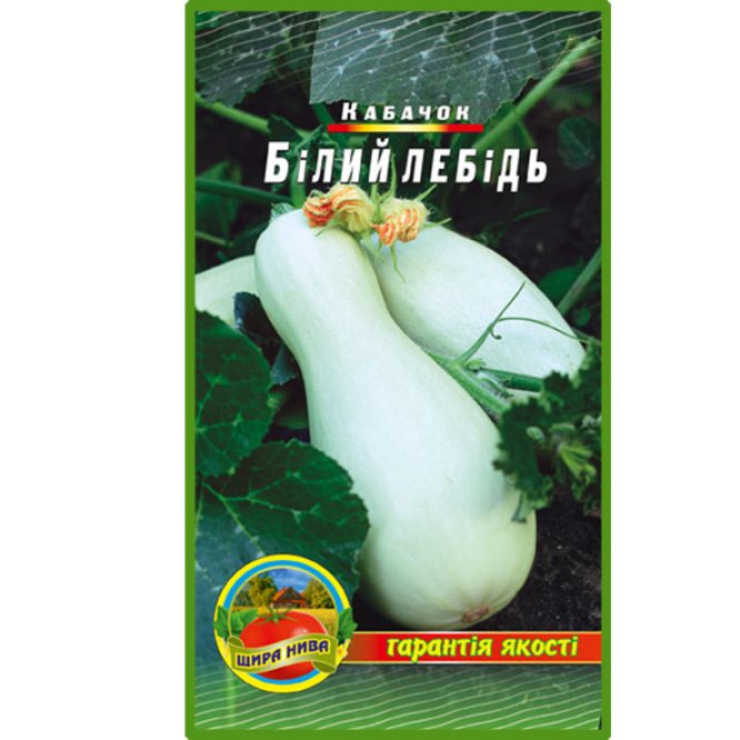 купити-кабачок-білий-лебідь-щира-нива