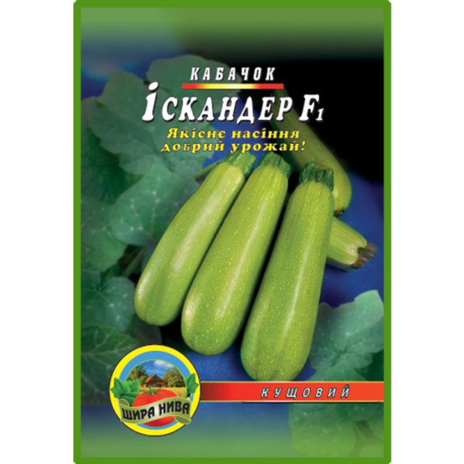 купити-кабачок-іскандер-щира-нива