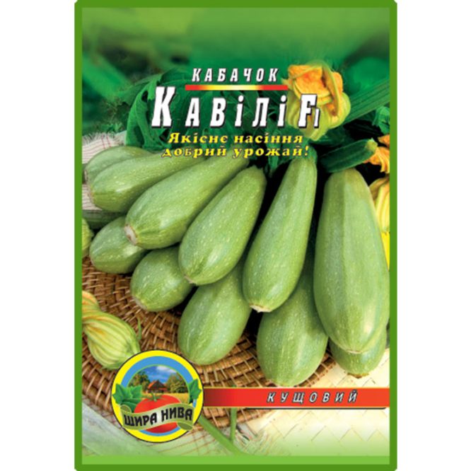 купити-кабачок-кавілі-щира-нива