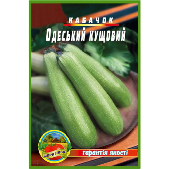купити-кабачок-одеський-кущовий-щира-нива