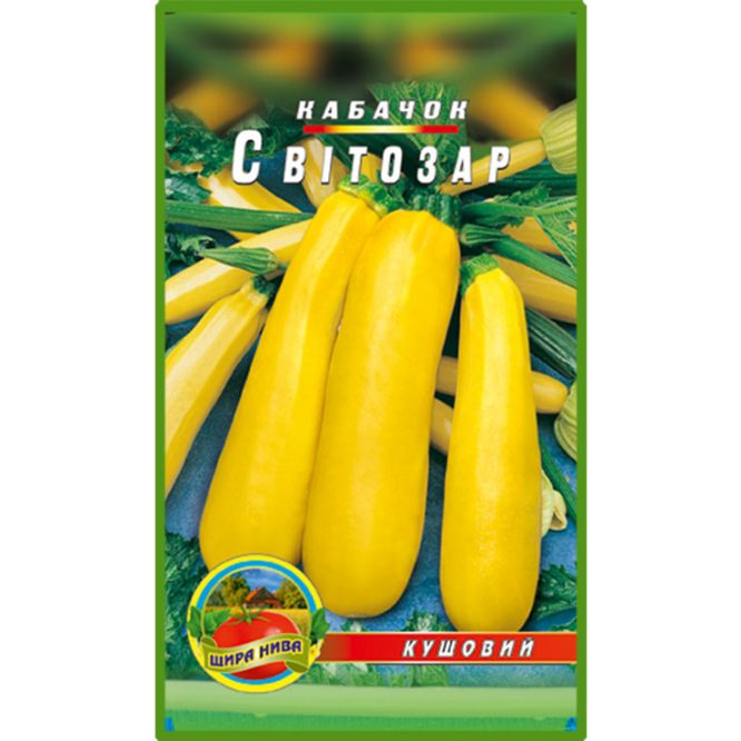 купити-кабачок-світозар-щира-нива