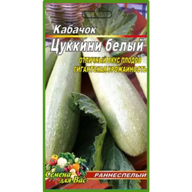 купити-кабачок-цукіні-білий-щира-нива