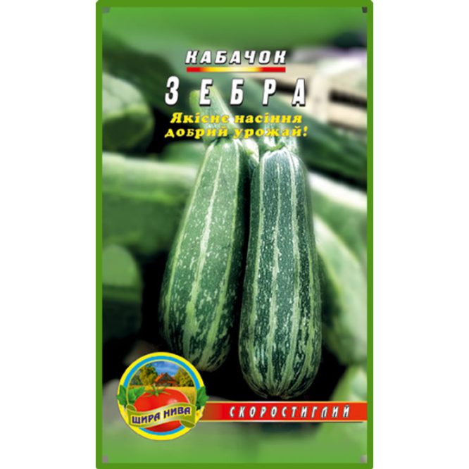 купити-кабачок-зебра-щира-нива