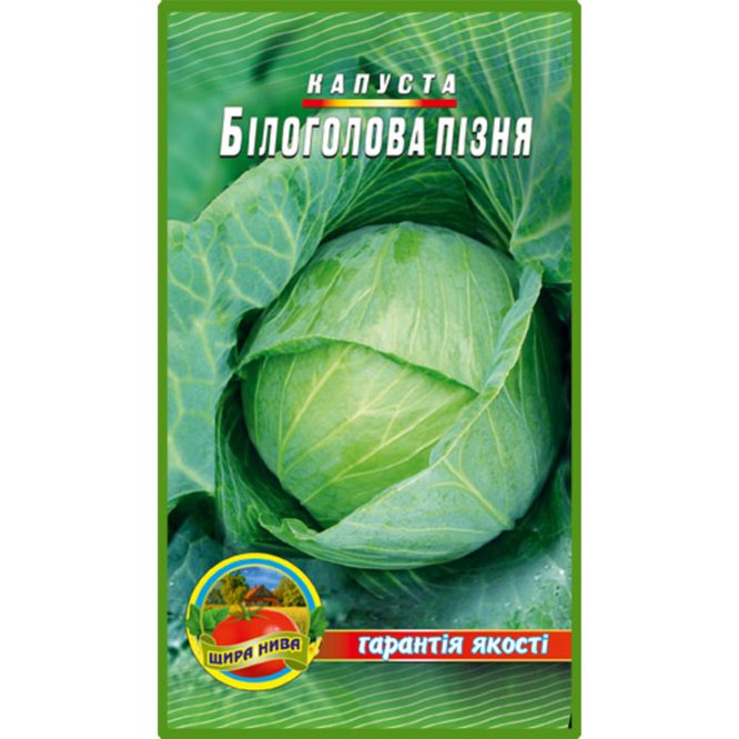 білоголова-капуста-білоголова-піздня-щира-нива