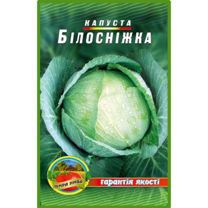 білоголова-капуста-білосніжка-щира-нива