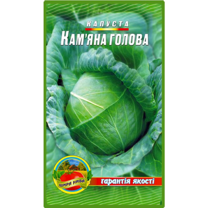 білоголова-капуста-камяна-голова-щира-нива