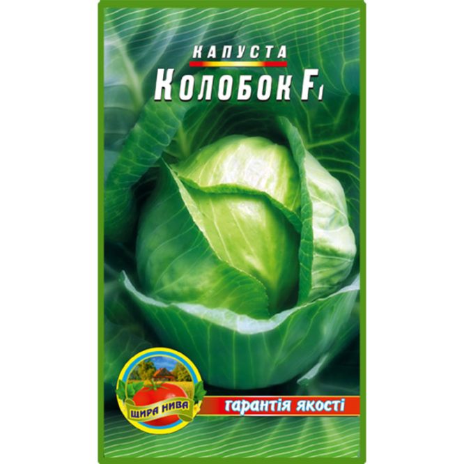 білоголова-капуста-колобок-щира-нива.