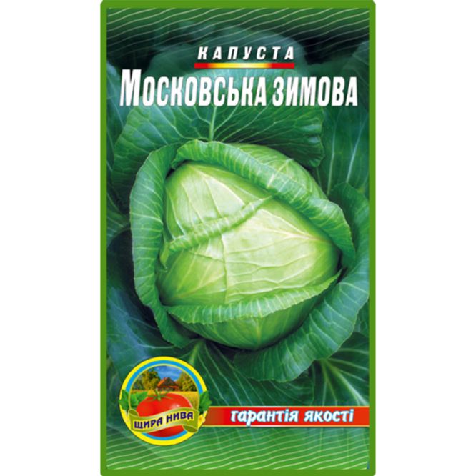 білоголова-капуста-московська-зимова-щира-нива