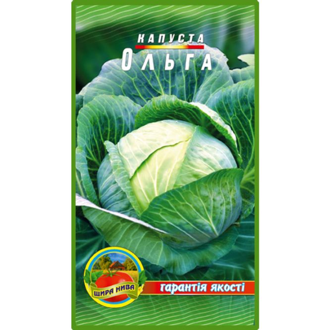 білоголова-капуста-ольга-щира-нива