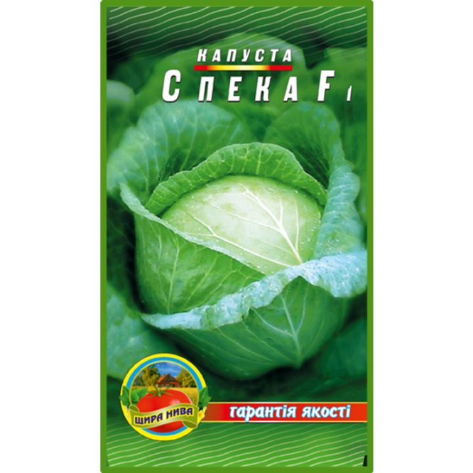 білоголова-капуста-спека-щира-нива