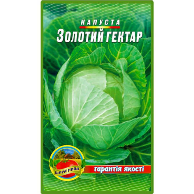 білоголова-капуста-золотий-гектар-щира-нива
