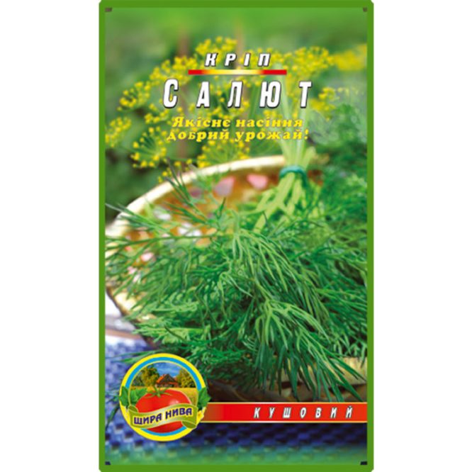 насіння-кріп-салют-щира-нива