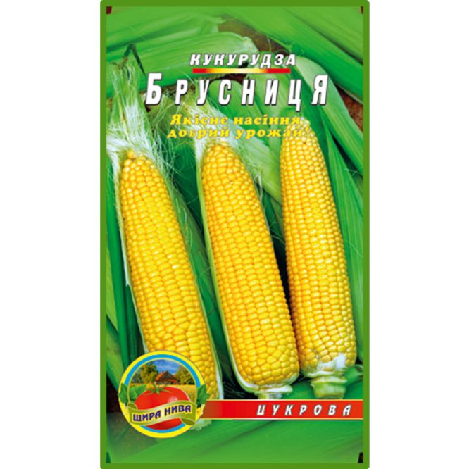 насіння-кукурудза-брусница-щира-нива
