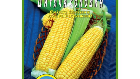 насіння-кукурудза-дитяча-солодка-щира-нива