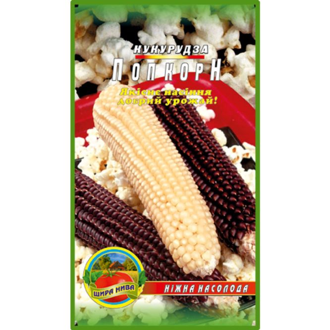 насіння-кукурудза-поп-корн-щира-нива
