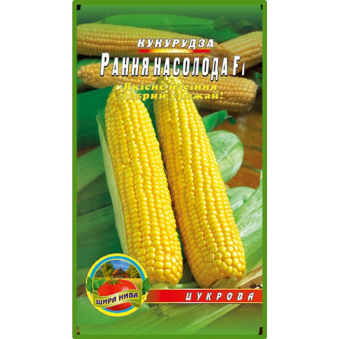 насіння-кукурудза-рання-насолода-щира-нива