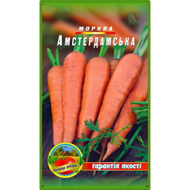 купити-морква-амстердамська-щира-нива