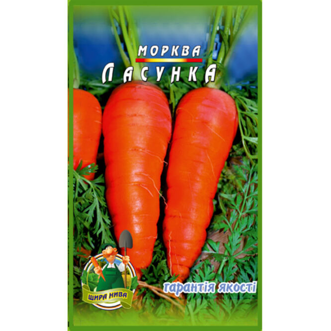 купити-морква-ласунка-щира-нива
