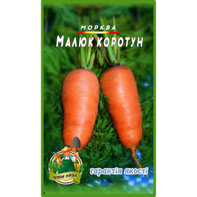 купити-морква-малюк-коротун-щира-нива