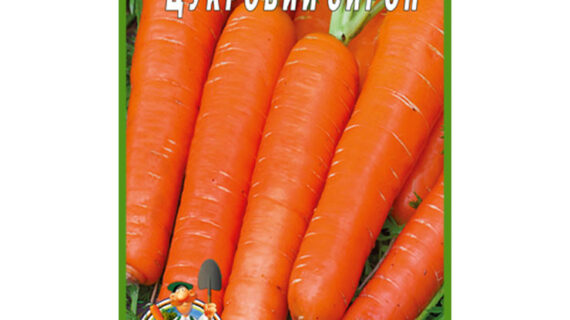 купити-морква-цикровий-сироп-нива