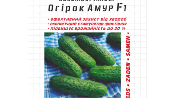 Огурец Амур F1 (драж) 40 семян