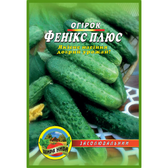 купити-огірок-фенікс-плюс-щира-нива