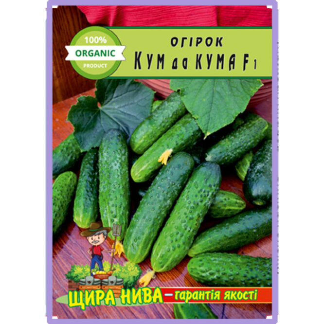 купити-огірок-кум-да-кума-щира-нива