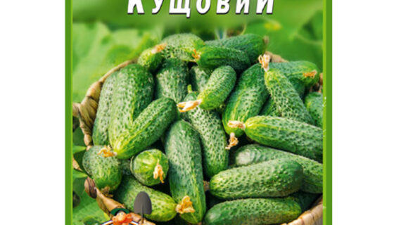 Огурец Кустовой пакет 30 семян