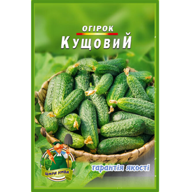 купити-огірок-кущовий-щира-нива