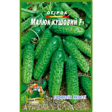 Огірок Малюк кущовий пакет 30 насінин