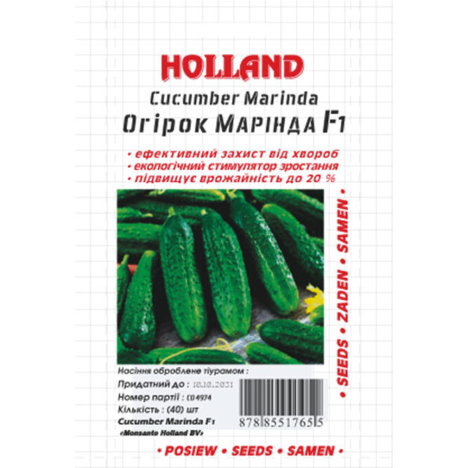 купити-огірок-марінда-f1-holland