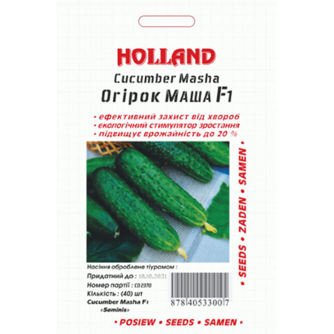 купити-огірок-маша-f1-holland