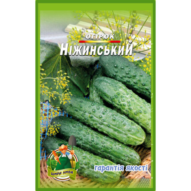 купити-огірок-ніжинський-щира-нива