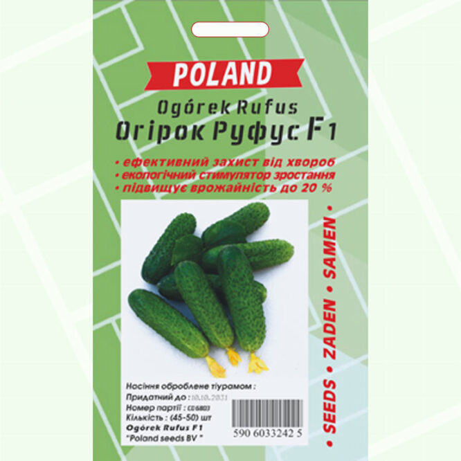 купити-огірок-руфус-f1-poland