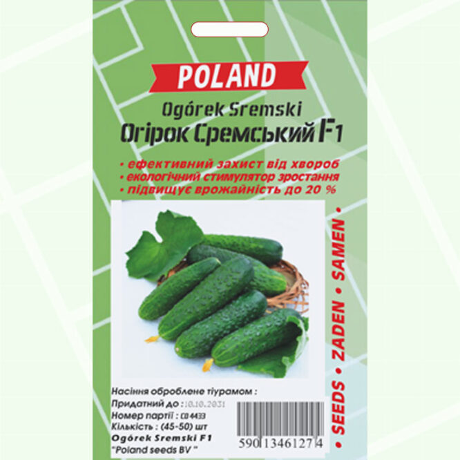 купити-огірок-сремський-f1-poland
