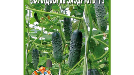 Огурец Соседу на зависть F1 пакет 30 семян
