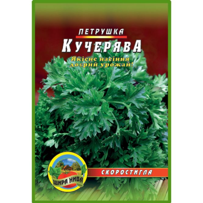 насіння-петрушка-кучерява-щира-нива