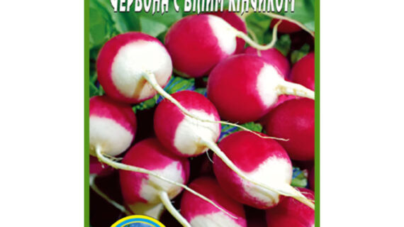 Редис Красный с белым кончиком пакет 800 семян