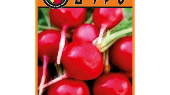 Редис Дуро пакет 20 грамм семян