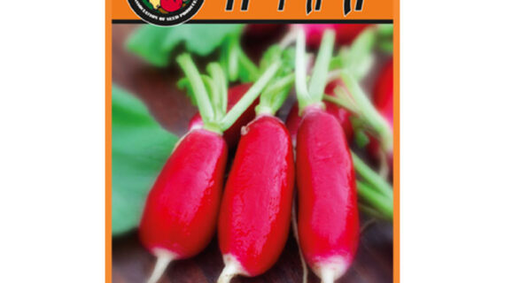 Редис Мила пакет 20 грамм семян