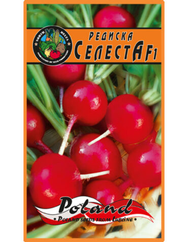 купити-редиска-селеста-nord-delta