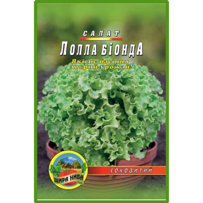 купити-салат-лолла-біонда-щира-нива
