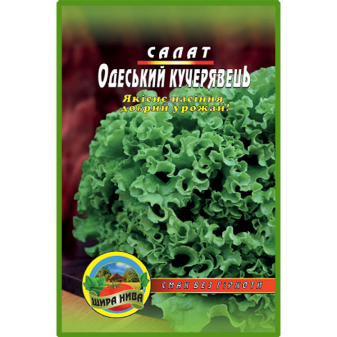 купити-салат-одеський-кучерявець-щира-нива